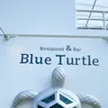 ブルータートル[Blue Turtle]の写真_472116