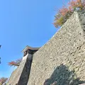 松山城の写真_472488