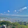 松山城の写真_472498