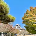 松山城の写真_472500