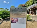松山城二之丸史跡庭園の写真_472522