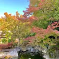 松山城二之丸史跡庭園の写真_472524