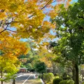 松山城二之丸史跡庭園の写真_472527