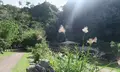 轟の滝の写真_474584