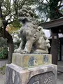 青山熊野神社の写真_476117