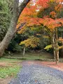 サムハラ神社 奥の院の写真_477183