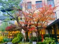 THE HOTEL SEIRYU KYOTO KIYOMIZU（ザ・ホテル青龍 京都清水）の写真_479526