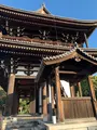 東福寺の写真_479571