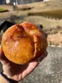 うみねこベーカリーの写真_481097