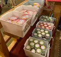 ロイヤルホテル 那須の写真_484513