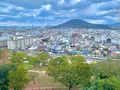 丸亀城の写真_485094