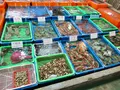 富基漁港の写真_485503