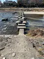 荒神橋近くの飛石の写真_488187