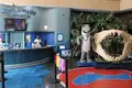 Under Water World（アンダーウォーターワールド）の写真_496053