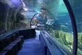 Under Water World（アンダーウォーターワールド）の写真_496055