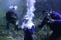 Under Water World（アンダーウォーターワールド）の写真_496056