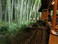 報国寺（竹寺）の写真_50032