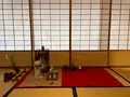 宇治市市営茶室対鳳庵の写真_502377