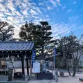 鶴羽根神社の写真_505016