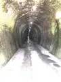 山中トンネルの写真_507954