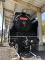 蒸気機関車D51 481号機の写真_507980