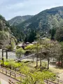 道の駅たばやまの写真_509699