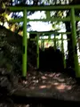 足利織姫神社 七色の鳥居の写真_513332