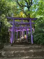 足利織姫神社 七色の鳥居の写真_513339