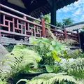 聖福寺の写真_518703