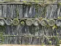 聖福寺の写真_518708