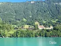ブリエンツ湖の写真_525207
