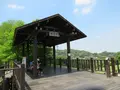 樟树步道, Wenshan Districtの写真_525473