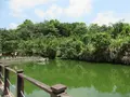 樟树步道, Wenshan Districtの写真_525474