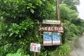 よへなあじさい園の写真_526539