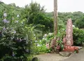 よへなあじさい園の写真_526542