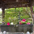 西新井大師（五智山遍照院總持寺）の写真_527439