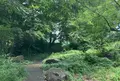 大平公園の写真_527575