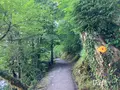 ウーファーヴェーク・イゼルトヴァルトの写真_528183