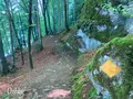 ウーファーヴェーク・イゼルトヴァルトの写真_528190