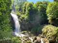 ギーススバッハフェレの写真_528302