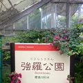箱根強羅公園の写真_534158