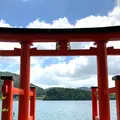 箱根神社 平和の鳥居の写真_534171