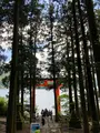 箱根神社 平和の鳥居の写真_534172