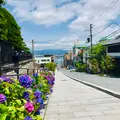 八幡坂の写真_534188