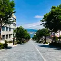八幡坂の写真_534189