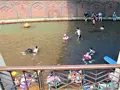 蘇澳冷泉公園の写真_535105