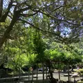 尾山神社の写真_538038