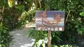 星野リゾート リゾナーレ小浜島の写真_540013