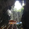  Batu Caves（バトゥ洞窟）の写真_548789