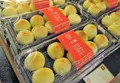 十字軒糕餅舗の写真_548848